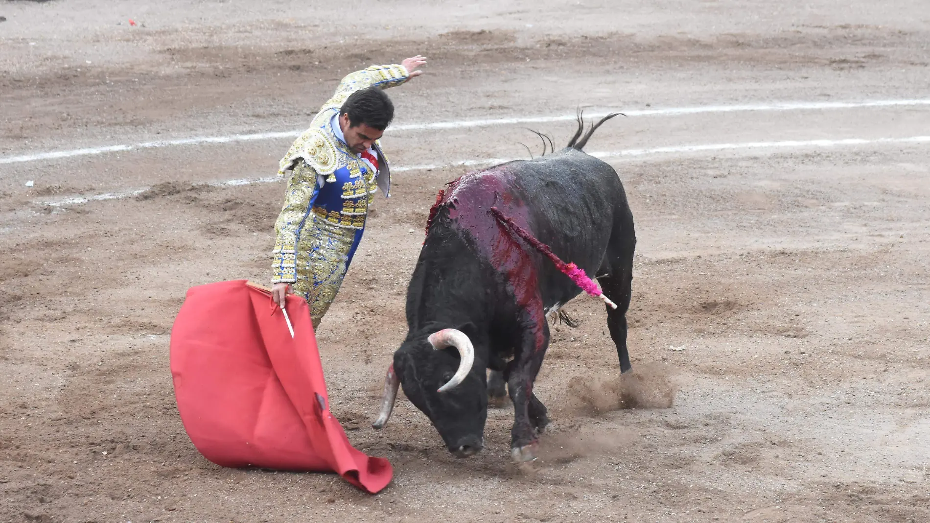 1A TOROS